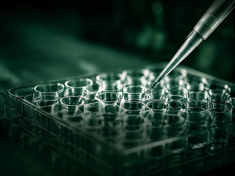 Vials on a filling line