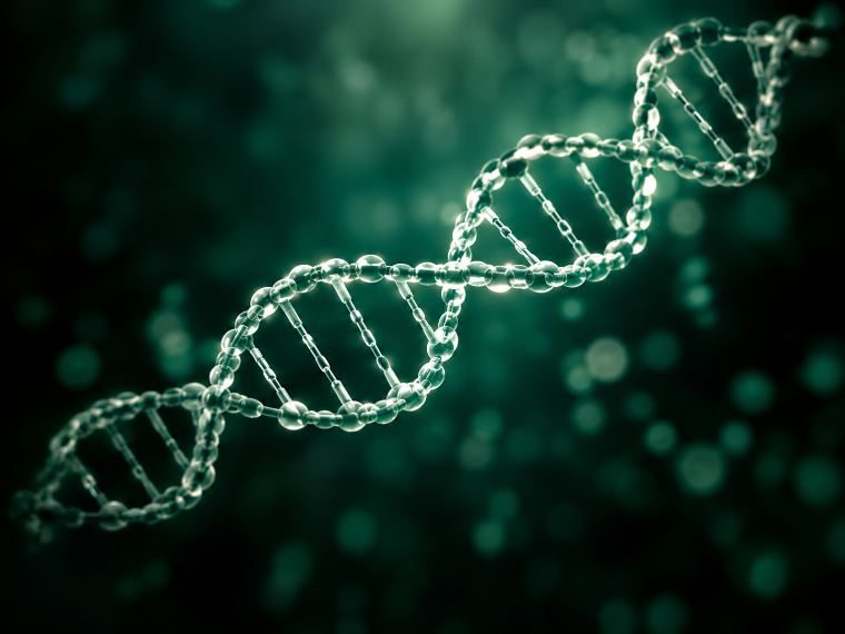 DNA helix render